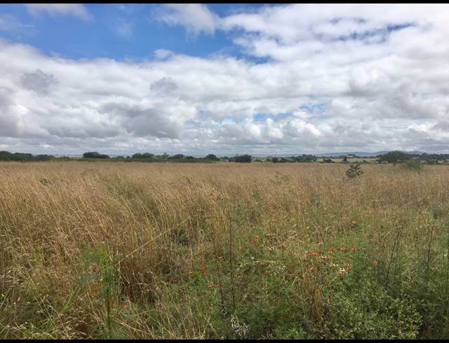8HA FARM FOR SALE IN DEBRON